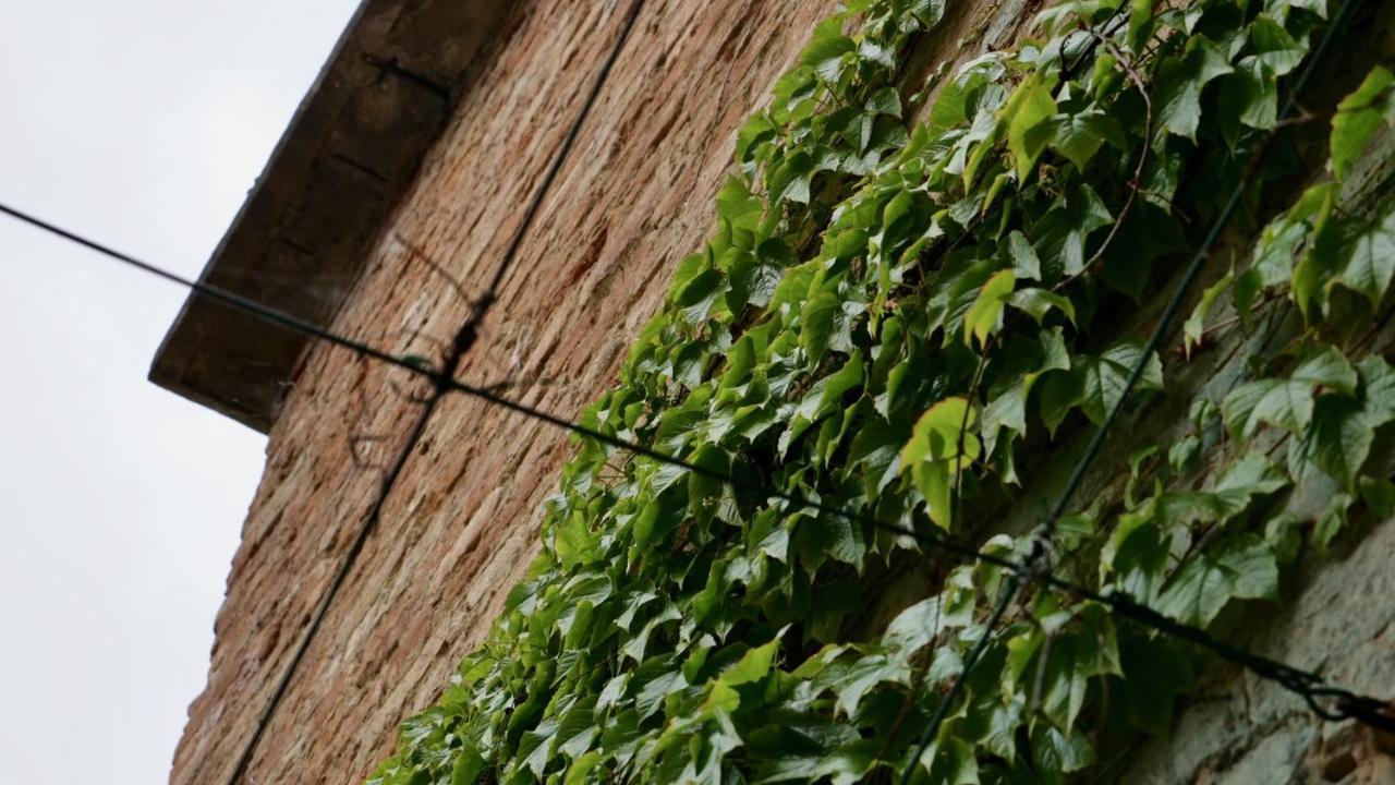 La Casa Di Giulia: Una Pausa In Collina Fubine Екстер'єр фото
